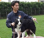 TVチャンピオン子犬しつけ王選手権連続優勝 遠藤和博です。 TVチャンピオン子犬しつけ王選手権連続優勝 遠藤和博です。
